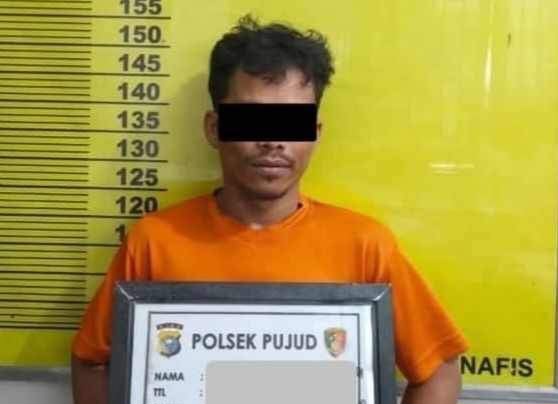 Setahun Jadi Buron, Pelaku Pencurian Dana Desa Rp133 Juta Akhirnya Ditangkap Polsek Pujud Saat Curi Sawit