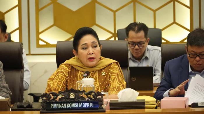 Ketua Komisi IV DPR RI: Sektor Pertanian Terus Membaik di Tangan Amran