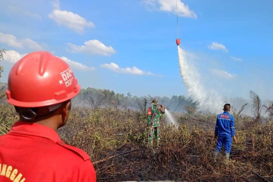 Status Darurat Karhutla Riau Diperpanjang 14 Hari, Titik Api Masih Muncul di Sejumlah Daerah