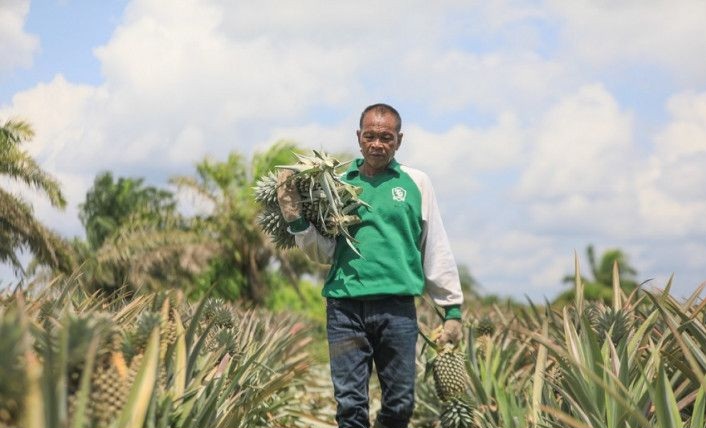 Nilai Tukar Petani Riau Tertinggi di Sumatera