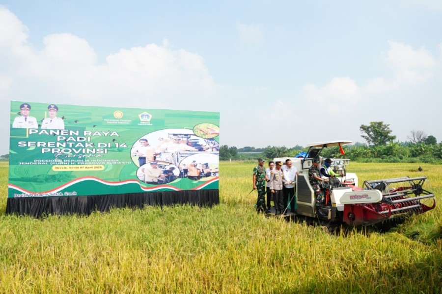 437 Ribu Ton Pupuk Siap Disalurkan Petrokimia Gresik ke Petani 437 Ribu Ton Pupuk Siap Disalurkan Petrokimia Gresik ke Petani
