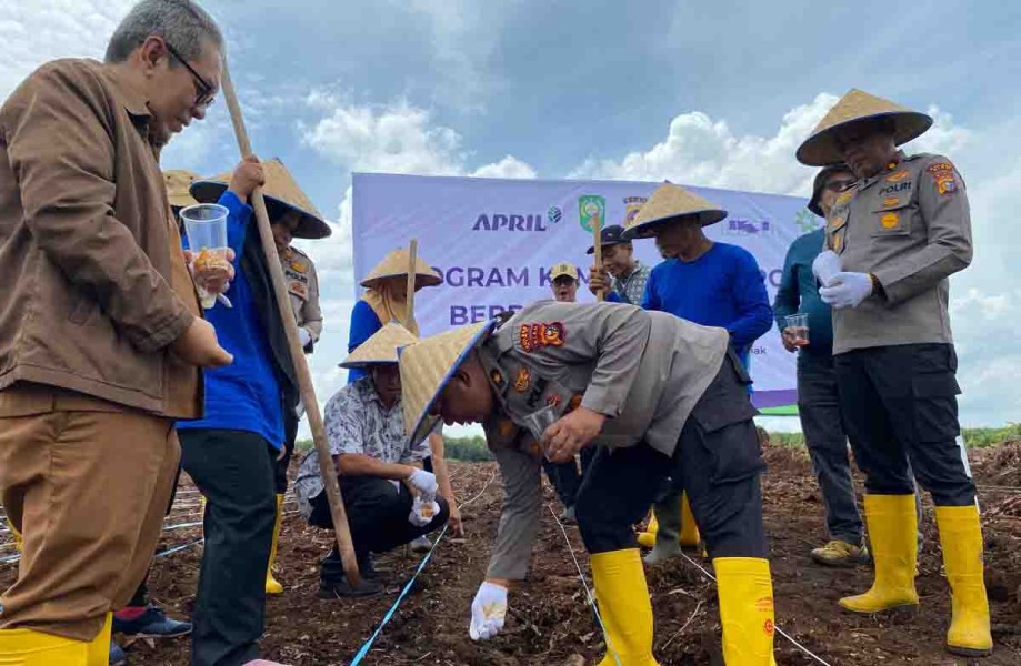 Dari Hutan ke Ladang: Agroforestri Wujudkan Pertanian Berkelanjutan di Dayun