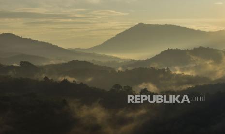 Hutan Lindung Pegunungan Meratus akan Dijadikan Taman Nasional