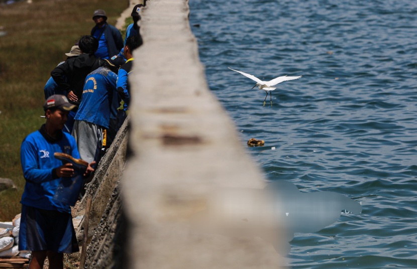 Panas Laut Dunia Pecah Rekor, Bukti Pemanasan Global Kian Parah