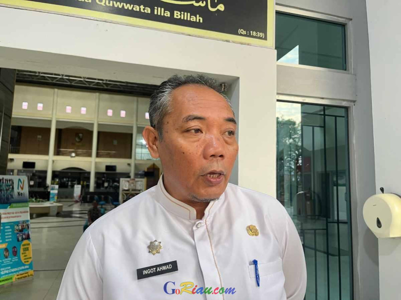 Ratusan THL RSD Madani Dipindah Tugas, Plt Kadiskes: Beban Sudah Terlalu Besar