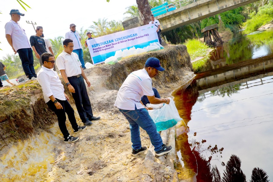 PTPN IV Regional III Tebar 60.000 Bibit Ikan Endemi Sungai Riau