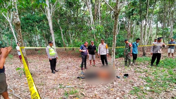 Curi Jengkol 2 Karung di Musi Rawas Pendi Dikeroyok hingga Tewas