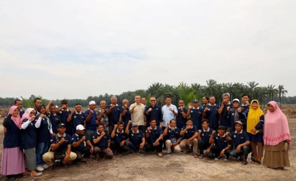 Petani mitra binaan PTPN IV PalmCo cuan besar usai ikuti PSR