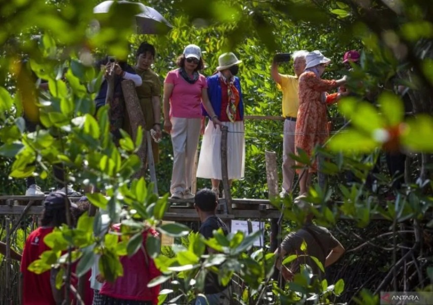 Kemenhut Pastikan Tidak Ada Lagi Izin Penebangan Kayu di Kawasan Mangrove