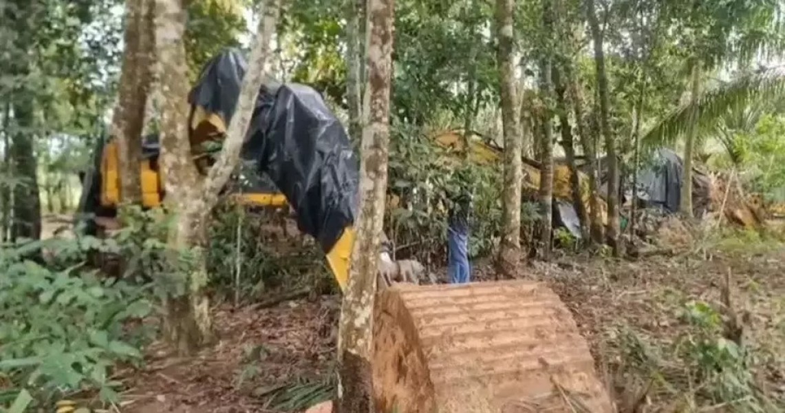 Menteri LH Akui Pengurangan Hutan Belasan Ribu Hektare di Aceh-Sumbar