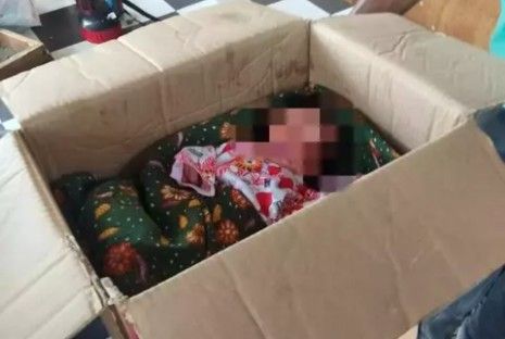 Bayi Perempuan Ditemukan Dalam Kardus di Semak-semak Pinggir Jalan