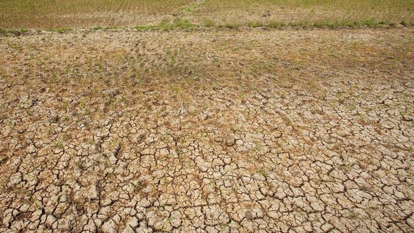 Malang Selatan Masih Kekeringan, 973.000 Liter Air Bersih Didistribusikan