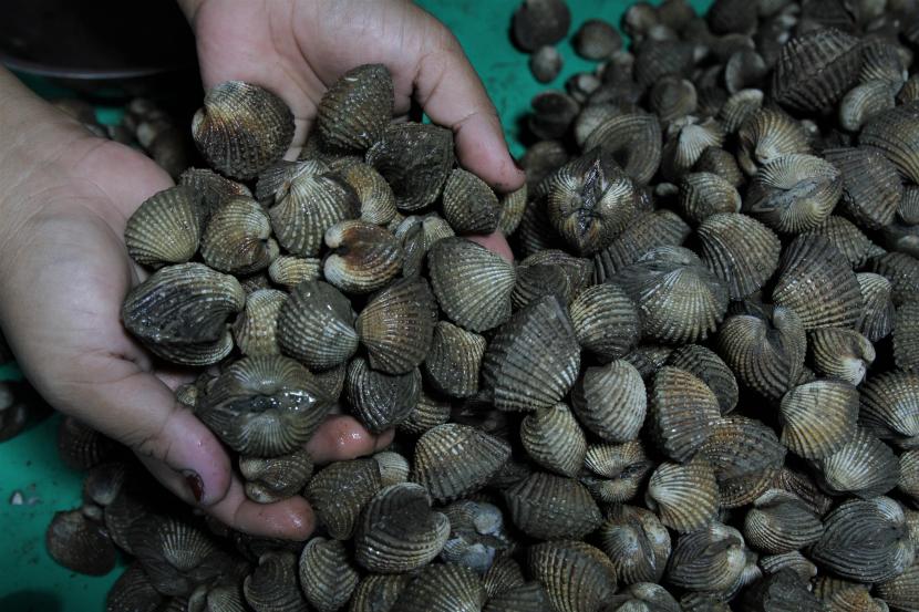 Limbah Kerang 'Disulap' Jadi Kemasan Lipstik