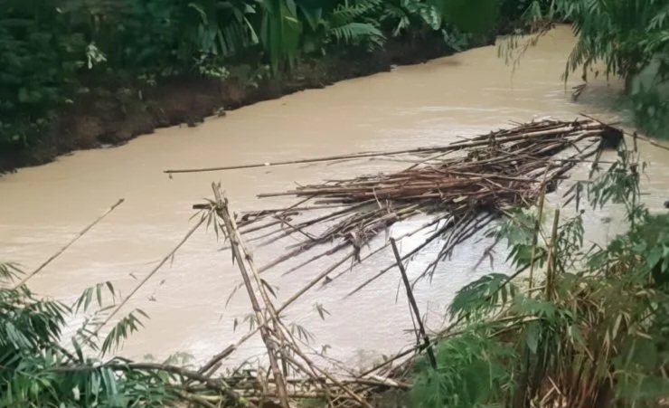 Pestisida Dari Gudang Terbakar Racuni Sungai Di Serpong, Ikan-Ikan Mati Mengambang