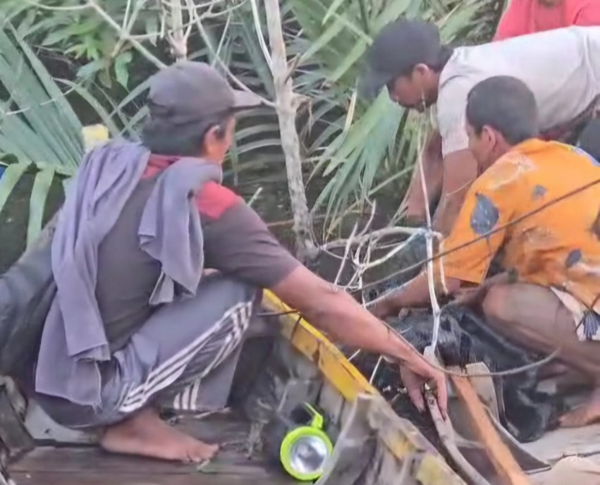 Celupkan Kaki Saat Mancing di Sungai, Remaja Dumai Tewas Diterkam Buaya