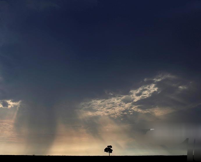Ilmuwan Bangun ‘Mesin Waktu’ di Amazon untuk Simulasikan Iklim Masa Depan