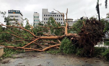 Topan Ganas Danas 'Ngamuk' di Taiwan Tewaskan Dua Orang