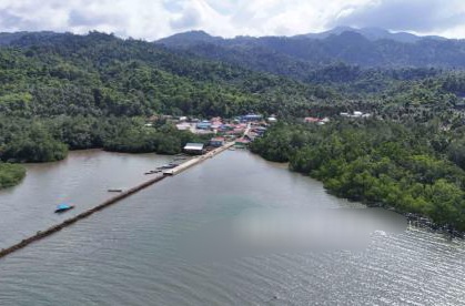 Gambut dan Mangrove Kunci Capai Nol Emisi