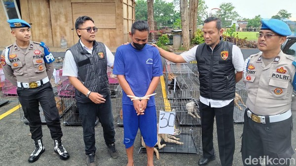 1 Orang Jadi Tersangka Jual Beli Anjing Konsumsi yang Diamankan di Banyumas