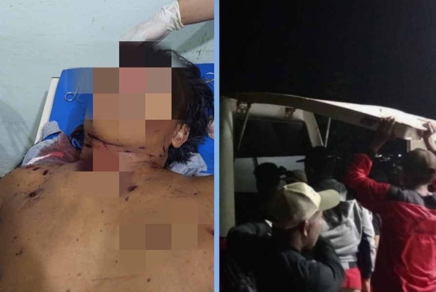 Saksi Ungkap Detik-detik Pekerja Diserang-Diseret Harimau di Kerumutan Pelalawan