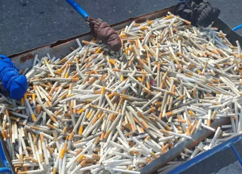 Bea Cukai Palu Musnahkan 4,6 Juta Batang Rokok Ilegal